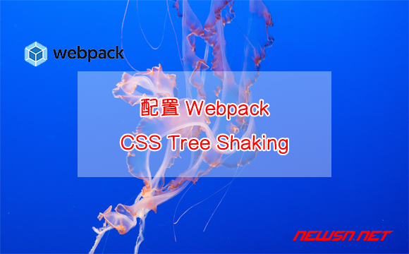 苏南大叔：如何配置Webpack，以实现对css的Tree Shaking？ - webpack-css-tree-shaking