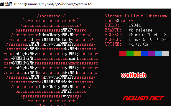 苏南大叔：微软官方出品的linux子系统工具WSL，如何安装使用？ - 查看内核版本号