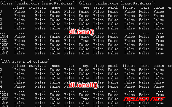 苏南大叔：以泰坦尼克数据集为例，探讨空值检测手段isna()和isnull() - df检测na结果