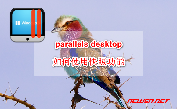 苏南大叔：parallels desktop 如何使用快照功能？ - parallels-snapshot