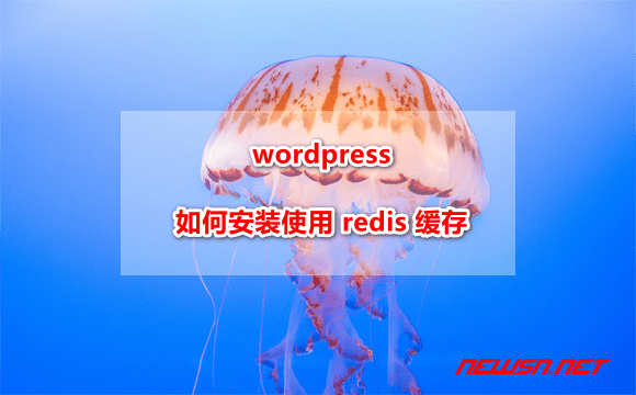 苏南大叔：centos，宝塔面板，wordpress 安装 redis 缓存 - wordpress_redis_use