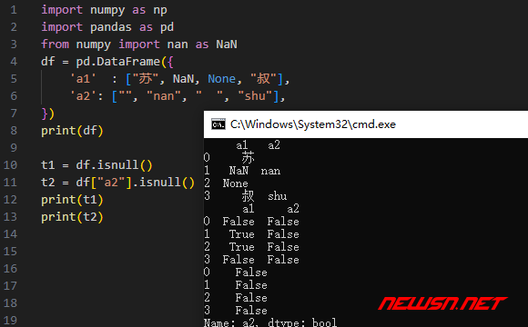 苏南大叔：python数据清洗，如何对dataframe数据进行isnull空值区分？ - isnull判断