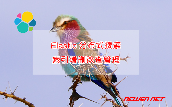 苏南大叔：Elastic分布式搜索，如何对索引(表)进行增删改查管理？ - elasticsearch索引增删改查