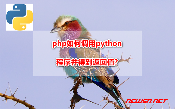 苏南大叔：php如何调用python程序并得到返回值? - php-python