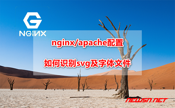 苏南大叔：nginx/apache配置，如何识别svg及字体文件？ - nginx-svg