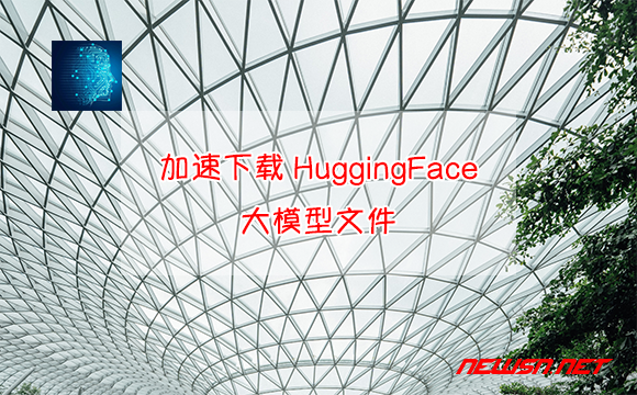 苏南大叔：如何加速下载HuggingFace大模型文件？国内镜像 - download-deepseek