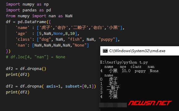 苏南大叔：python数据清洗，如何使用df.dropna()删除缺失值相关数据？ - dropna输出