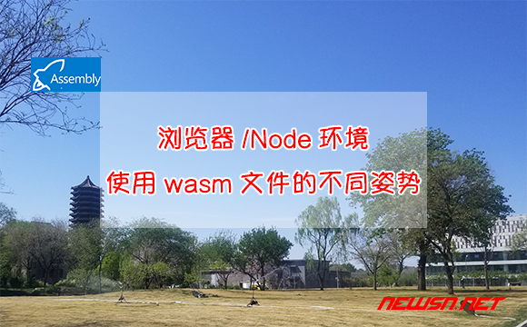 苏南大叔：浏览器/Node环境，使用wasm文件的几种方式 - wasm文件的不同使用姿势