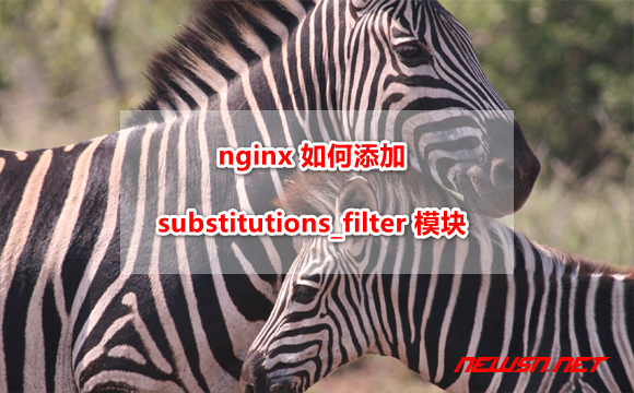 苏南大叔：nginx 如何添加 substitutions_filter 模块，subs_filter 指令多次替换 - nginx-subs