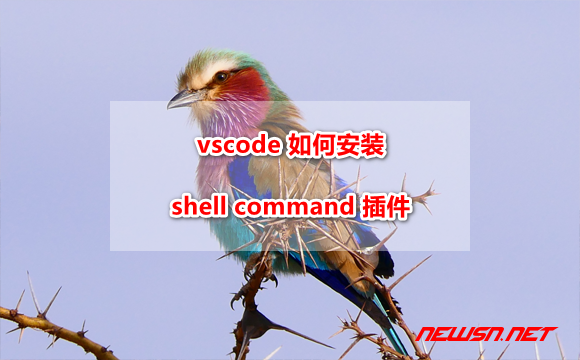 苏南大叔：mac 系统，vscode 如何安装 shell command 插件？ - vscode-shell-command