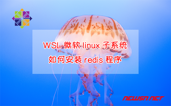 苏南大叔：WSL微软官方linux子系统，如何安装redis程序？ - wsl-redis