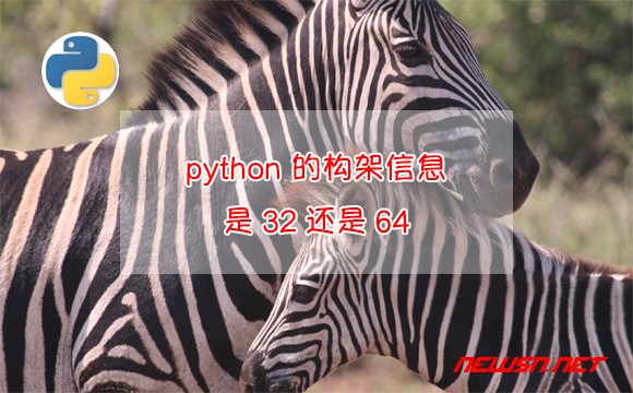 苏南大叔：如何判断 python 的 arch 构架信息？是32还是64？ - python-arch-check