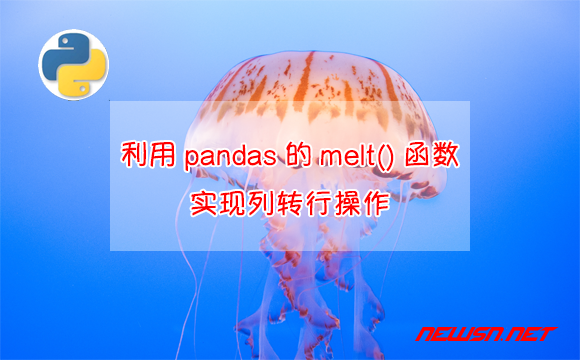 苏南大叔：如何利用pandas的melt()方法，实现宽表转长表的操作？ - pandas-melt