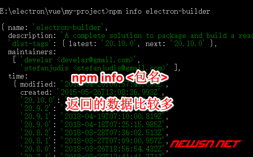 苏南大叔：如何查看特定npm包的版本号? - npm_info