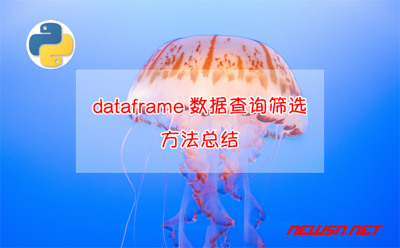 苏南大叔：数据处理，对dataframe数据进行查询筛选的方法总结 - dataframe查询筛选