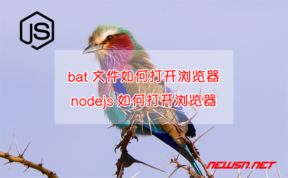 苏南大叔：bat文件如何打开浏览器，nodejs如何打开浏览器？ - browser-open