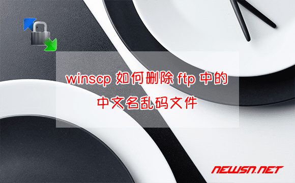 苏南大叔：winscp 如何删除ftp中的中文名乱码文件 - winscp-rm-file