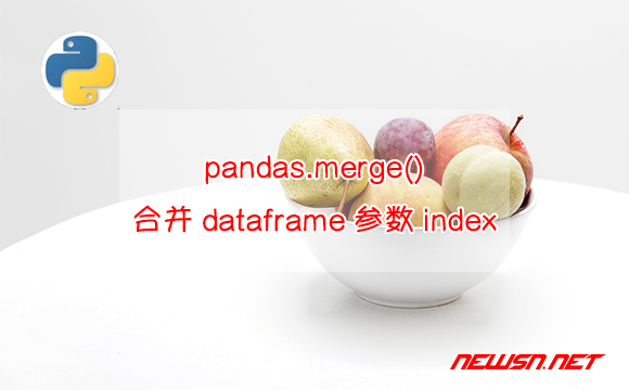 苏南大叔：python编程，解读pandas.merge()合并dataframe的index参数 - dataframe合并index参数
