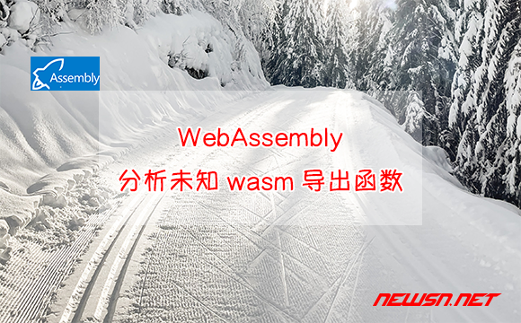 苏南大叔：WebAssembly，如何分析wasm导出函数？反编译wasm - 分析未知wasm导出函数