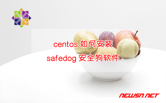 苏南大叔：centos如何安装safedog安全狗软件？ - centos-safedog-install