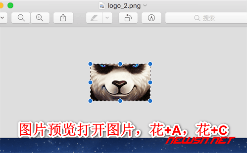 苏南大叔：mac系统如何给网站快捷方式增加图标 - 008_link_www